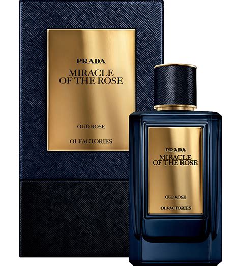 prada oud rose perfume|prada mirages perfume.